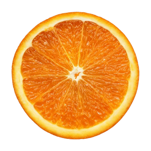 Orange slice